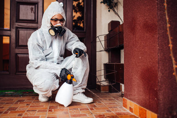 Reliable Wasp Removal contractor in Pikesville, MD by Show Me Pest Control