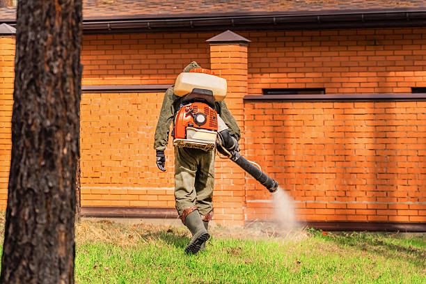 Top rated local Wasp Removal specialists in Pikesville, MD